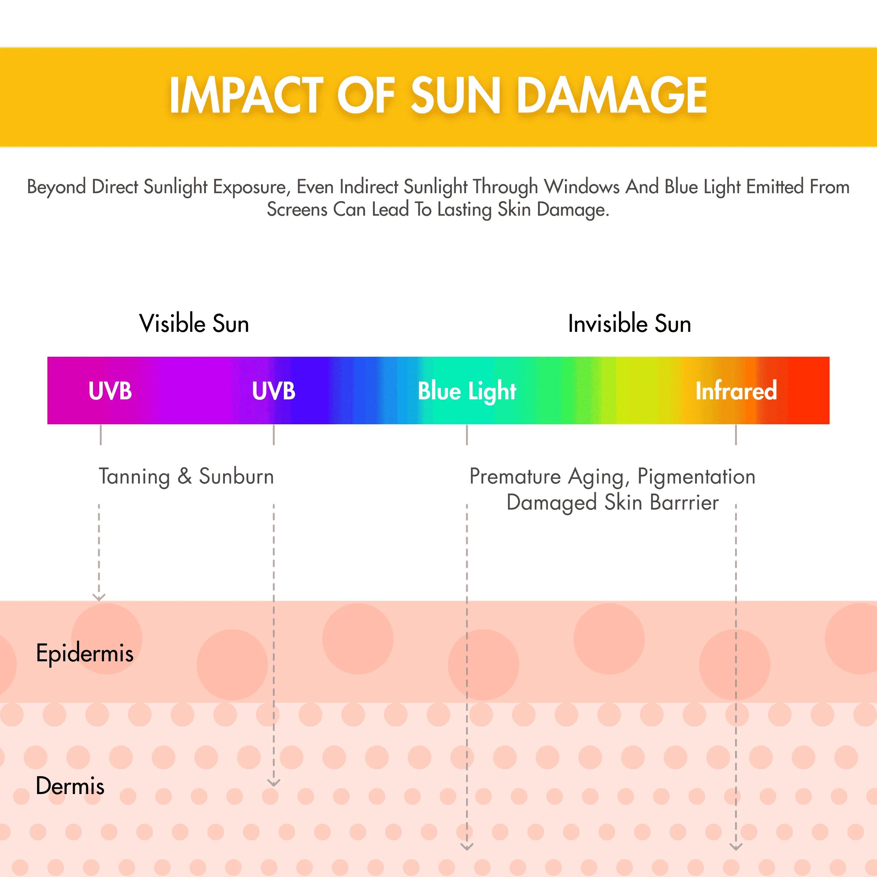 Ceramide Sunscreen | SPF50 PA     | Dewy, Lightweight, & Oil-Free | 50 gm