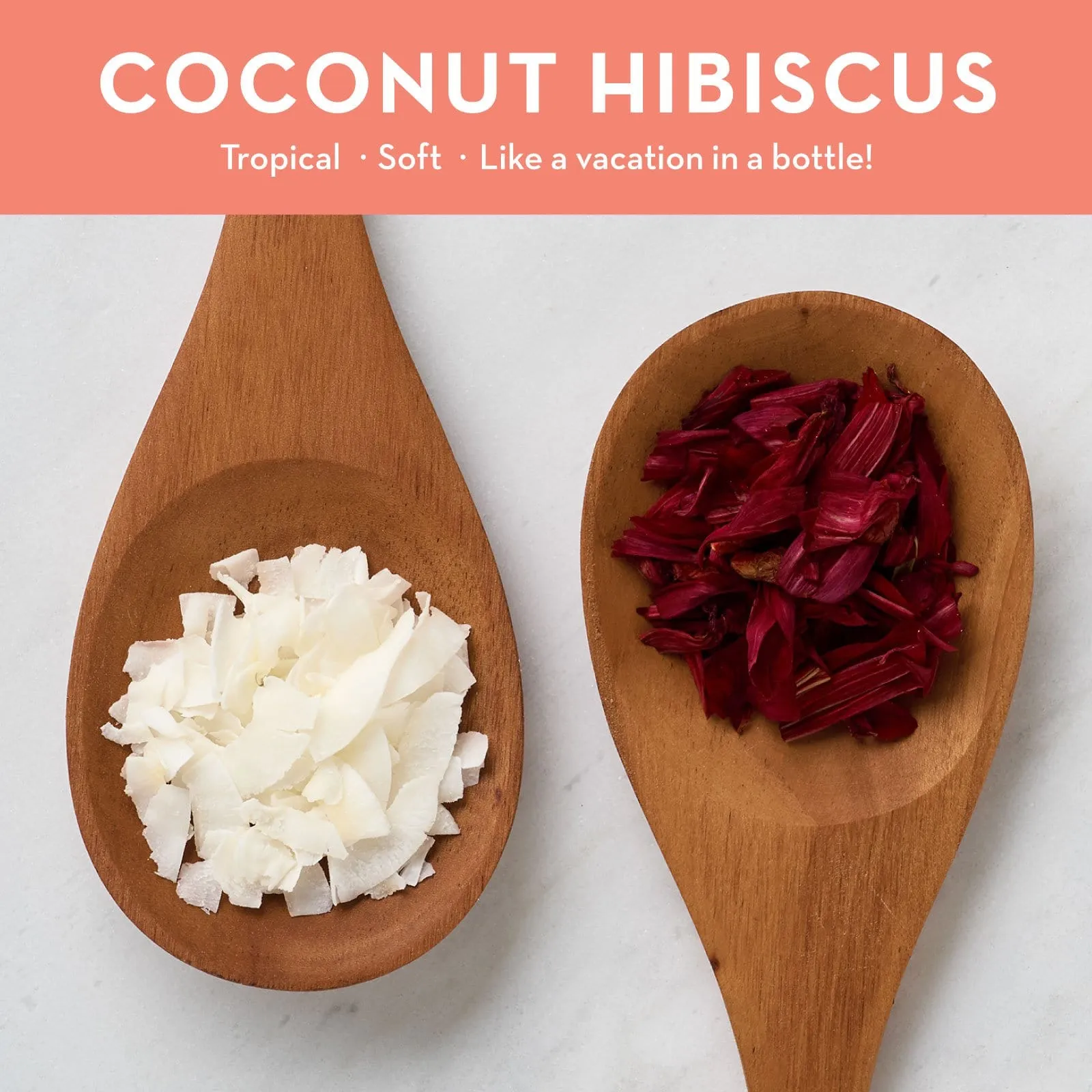 COCONUT HIBISCUS MOISTURIZING HAND SOAP