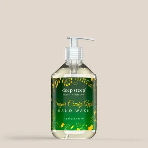 Liquid Holiday Hand Wash - Sugar Candy Apple